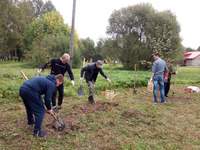 image (4)
